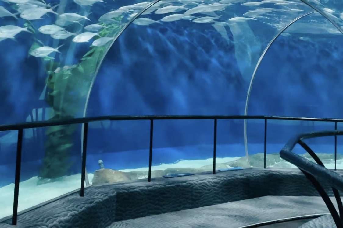 Ocean Aquarium